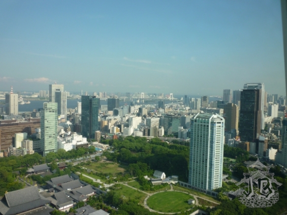 Tokyo buildings from above, with a huge park in the foreground
