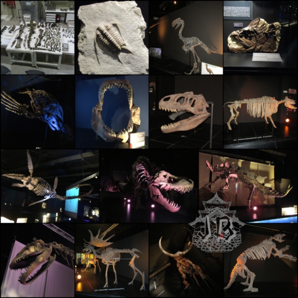 A collage showing different fossils and replicas from Dinopolis