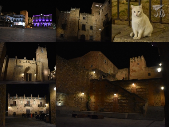 Different buildings of Cáceres at night. The are lit wit strategic lamps to give a mysterious feeling. There is also a white fluffy cat sitting and expecting food